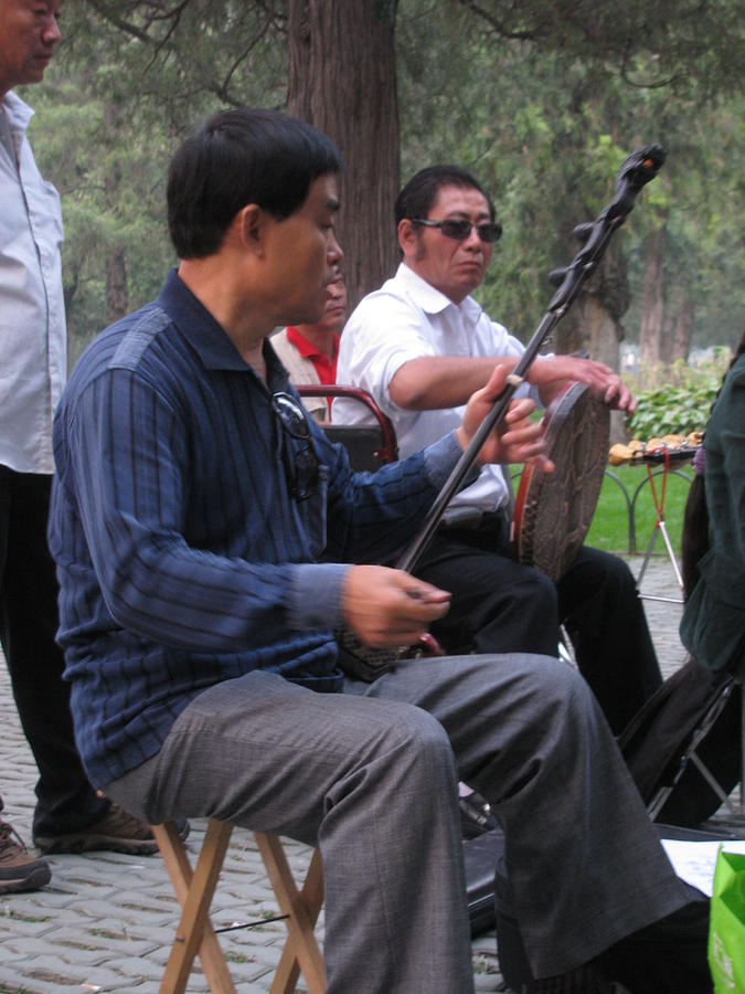 the Erhu player Photograph by Alfred Ng