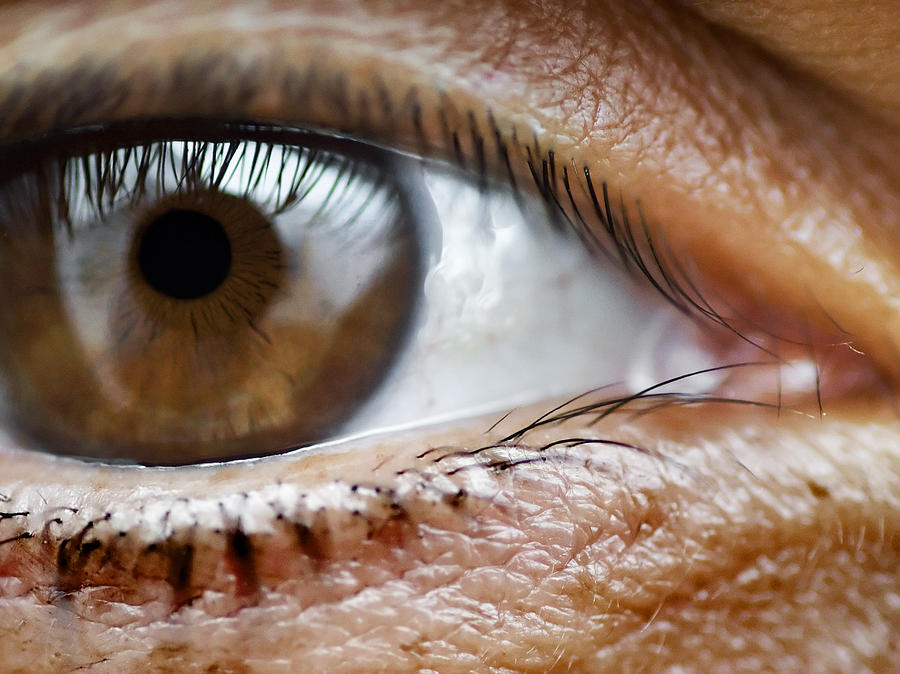 the eye - A close up of a beautiful mediterranean brown eye Photograph by Pedro Cardona Llambias