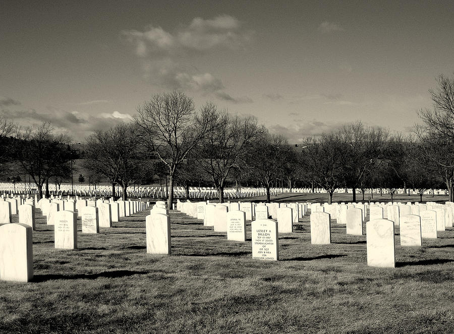 The Fallen Photograph by Flora Fauna Photography - Fine Art America