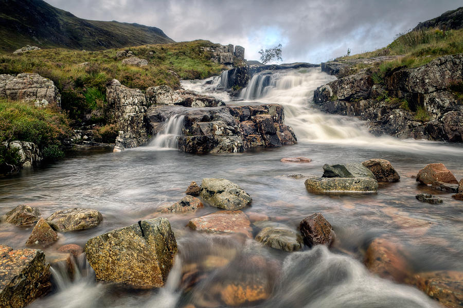 Tree Photograph - The Falls at Glen Coe by Chris Frost