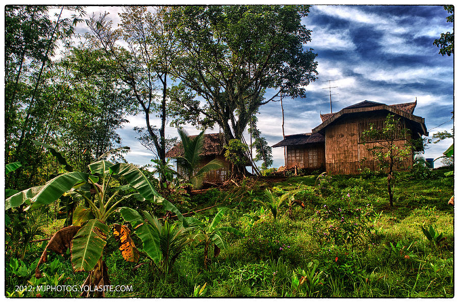 Landscape Photograph - The Farmers House by Max Ereno