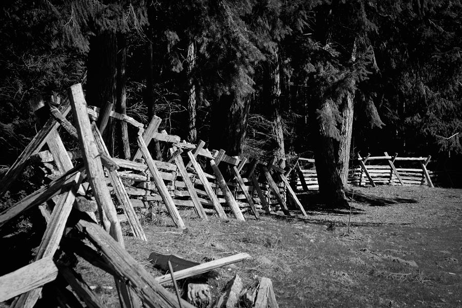The Fence Line at Fort Nisqually Photograph by David Patterson