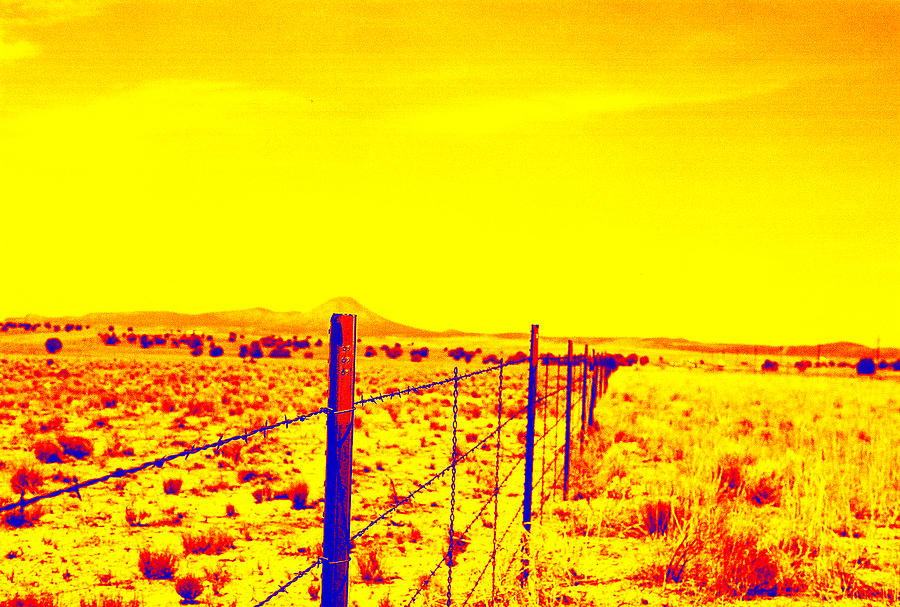 The Fence Line Photograph by Charles Benavidez