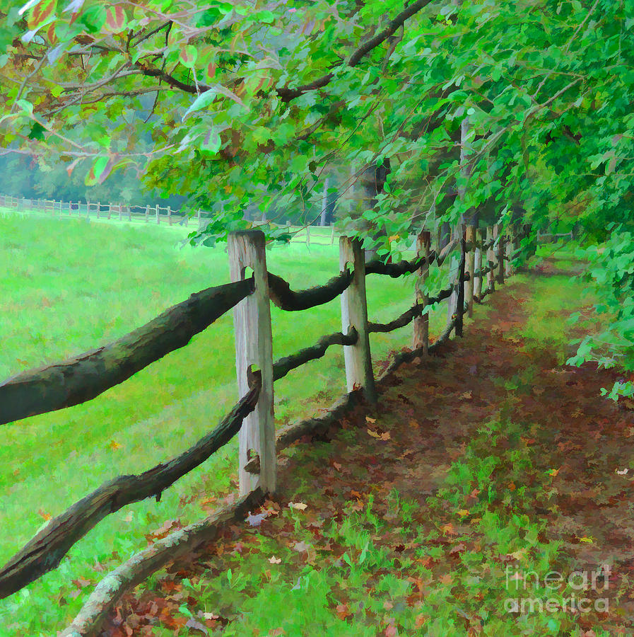 The Fence Path Digital Art by L J Oakes