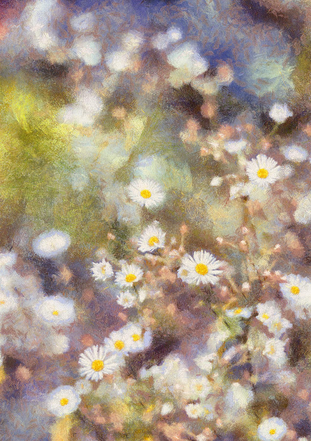 The Field of Daisies. Painting with Light Photograph by Jenny Rainbow
