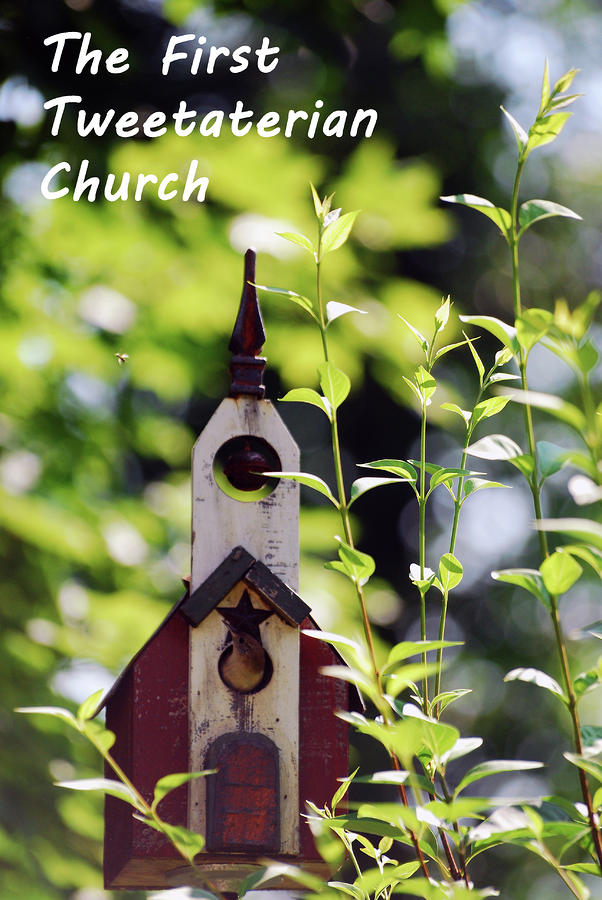 The First Tweetaterian Church Photograph by Lori Tambakis