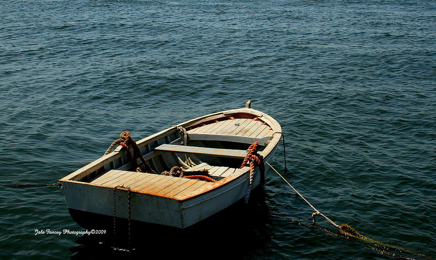 The Fishing Boat Photograph by Jale Fancey