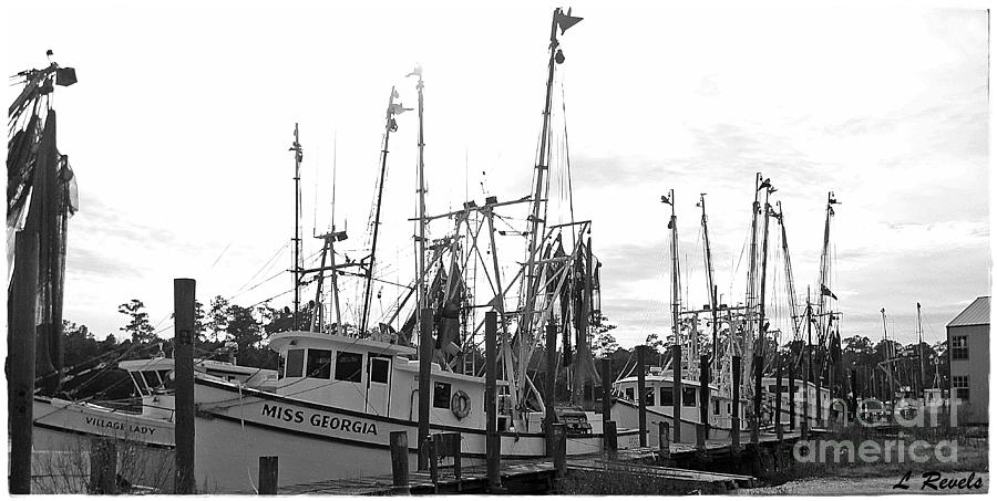 Boat Photograph - The Fleet by Leslie Revels