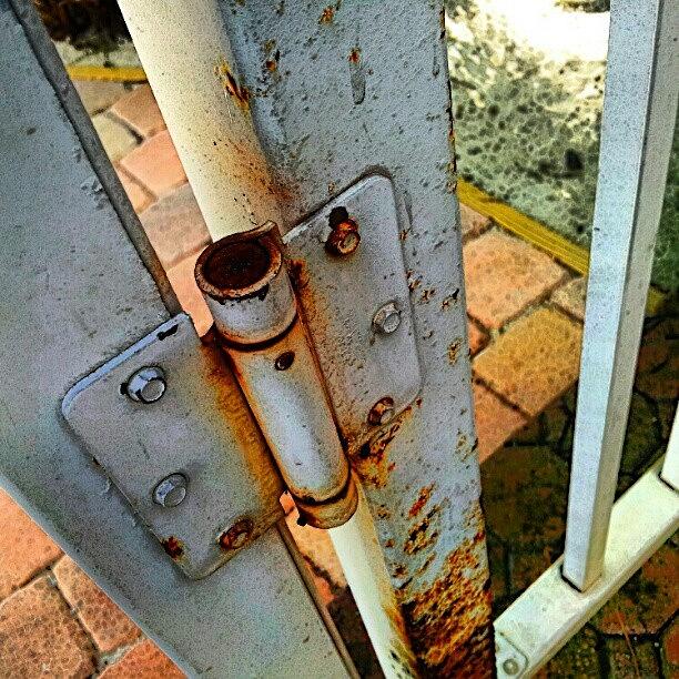 Abstract Photograph - The Floridian Hotel / Rusty Hinge by Elisa Franzetta