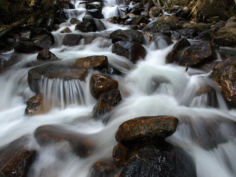 The Flowing Creek Bed Photograph by DeeLon Merritt