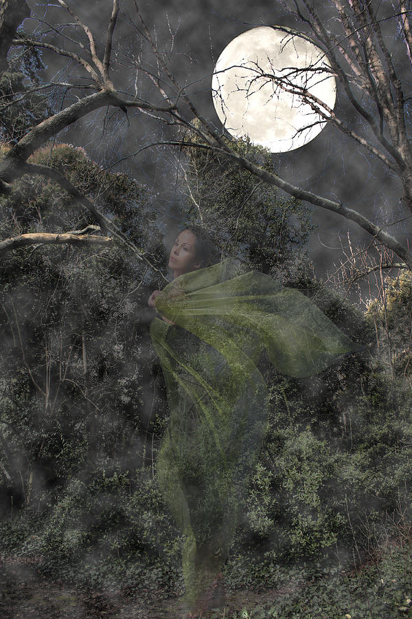 The forest fairy Photograph by Angel Jesus De la Fuente