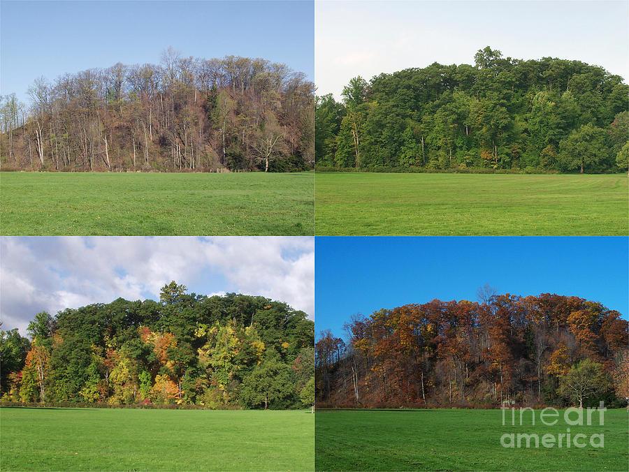 The Four Seasons Photograph by Ted Kinsman