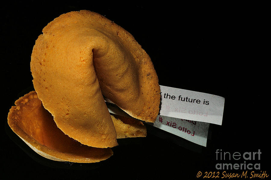 The Future Is Photograph by Susan Smith