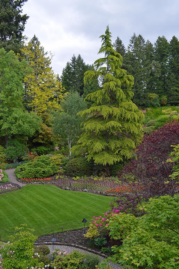 Vancouver Island Photograph - The Garden at Vancouver Island by Ann Marie Chaffin Vancouver Island Photograph - The Garden at Vancouver Island by Ann Marie Chaffin
