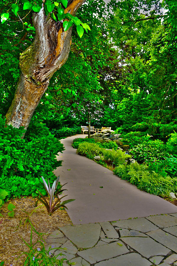 The Garden Path Photograph by Barbara Dean