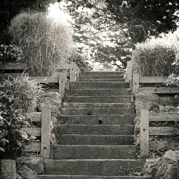 The Garden Path Photograph by Ben Smith