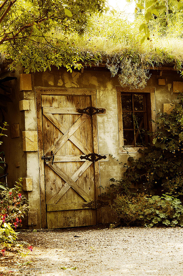 The Garden Shed Digital Art by Mary Jane Armstrong