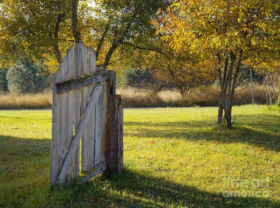 The Gate Photograph by Idaho Scenic Images Linda Lantzy