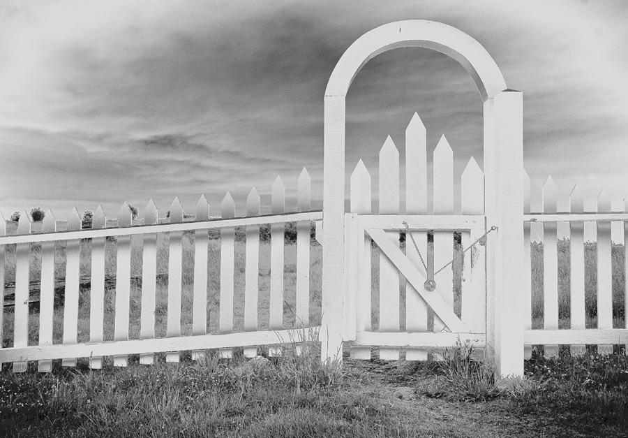 The Gate Photograph by Tony Locke