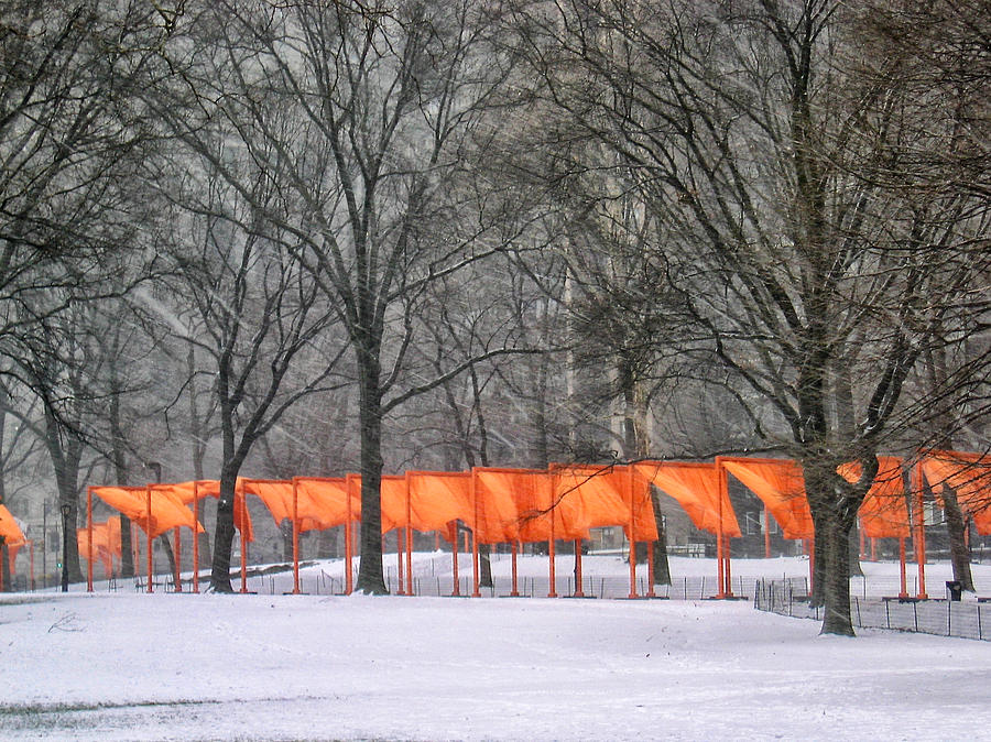 The Gates in a Blizzard 3 Photograph by Cornelis Verwaal