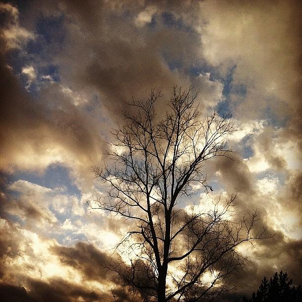 The Gathering Storm #winterstorm2012 # Photograph by Evie Warner