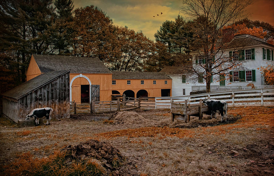 The Gentelmans Farm Photograph by Robin-Lee Vieira