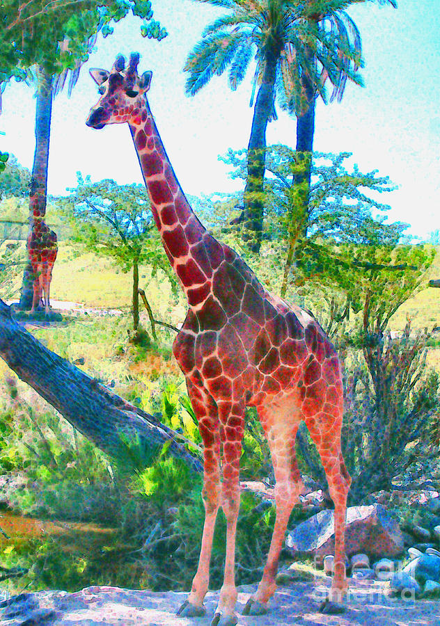 The Gentle Giraffe by Elinor Mavor The Gentle Giraffe by Elinor Mavor
