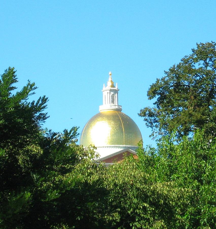 The Gold Dome Photograph by Bruce Carpenter