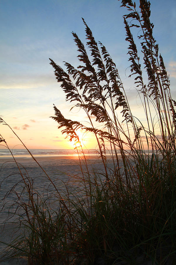 The Golden Hour by Jose Rodriguez The Golden Hour by Jose Rodriguez
