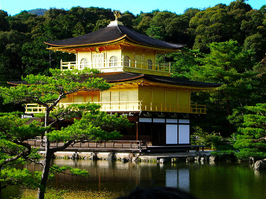 The Golden Temple in Kyoto Photograph by Tim Ernst