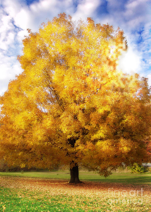 The Golden Tree Digital Art by Lisa Lambert-Shank