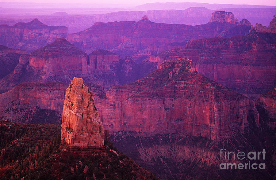 Grand Canyon National Park Photograph - The Grand Canyon North Rim by Bob Christopher