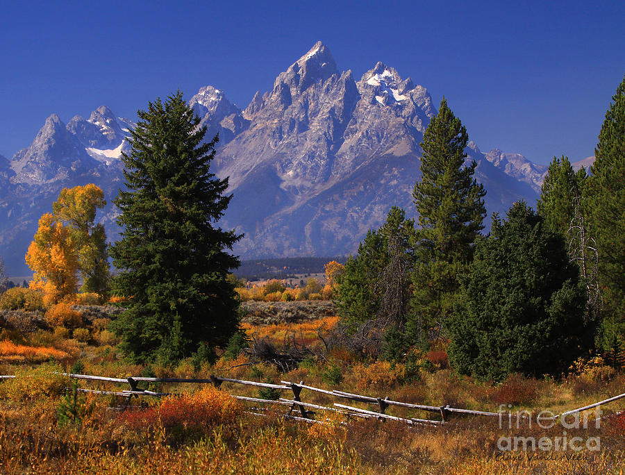 The Grand Teton Photograph by Clare VanderVeen