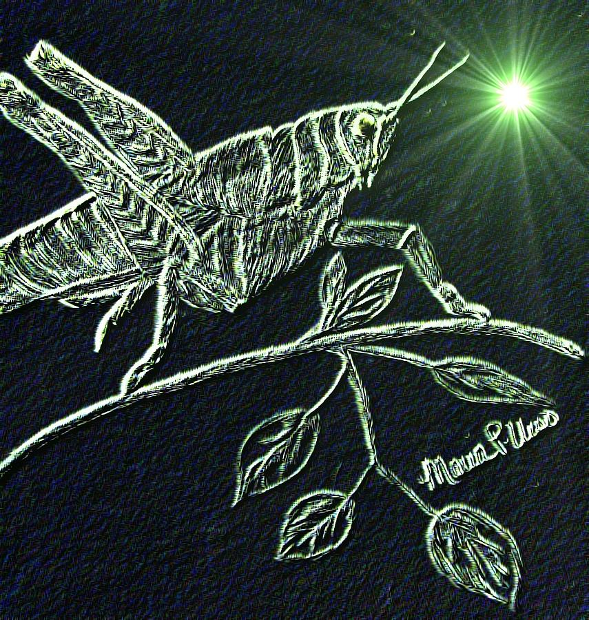 The Grasshopper Digital Art by Maria Urso
