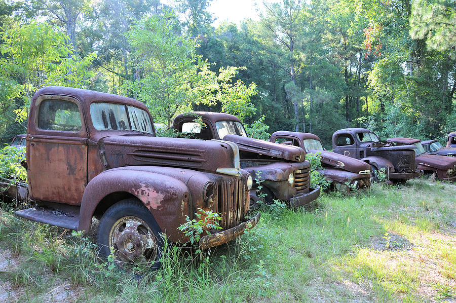 The Graveyard Photograph by Jan Amiss Photography - Fine Art America