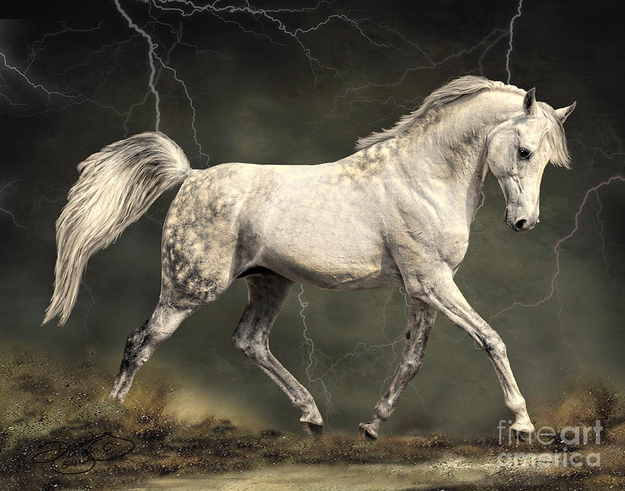 Horse Digital Art - The Gray by Dawn Young
