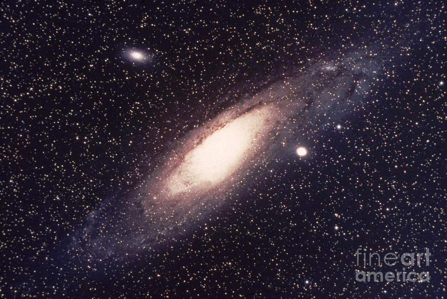 The Great Andromeda Galaxy Photograph by Science Source