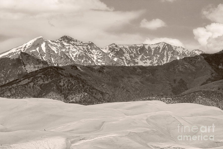 The Great Colorado Sand Dunes Sepia Photograph by James BO Insogna