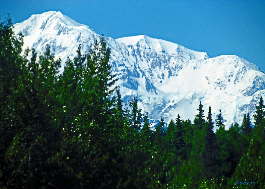 The Great Denali Photograph by T Guy Spencer