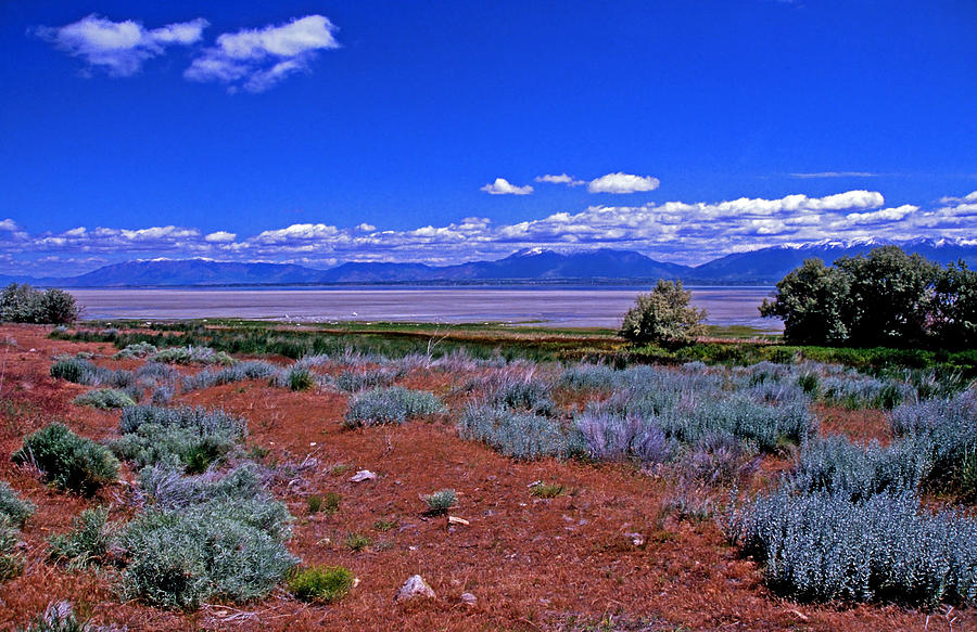 The Great Salt Lake From Antelope Island Photograph
