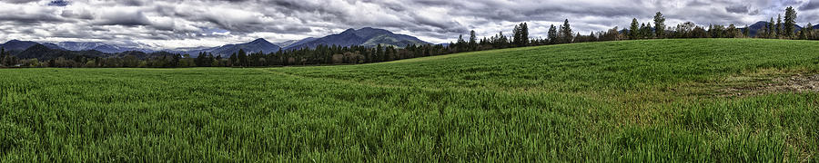 The Green Across Photograph by Nathaniel Kolby The Green Across Photograph by Nathaniel Kolby