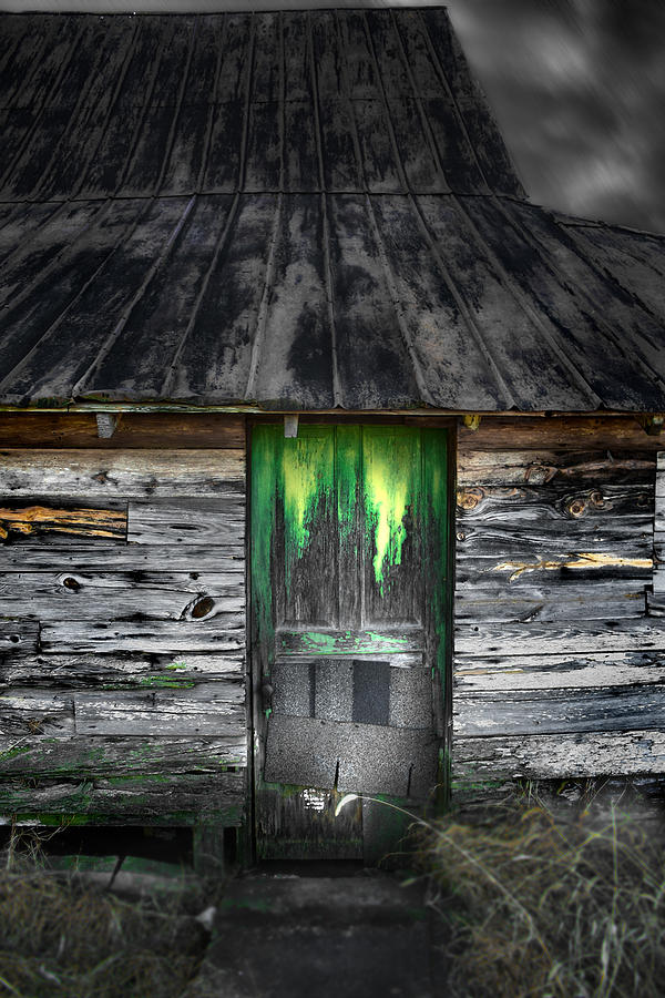 The Green Door Photograph By Gray Artus