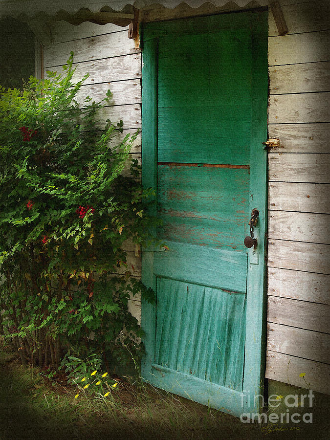 The Green Door Photograph by Pat Davidson