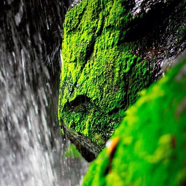 The Green Rock Behind Looks Like An Photograph by Phaisal Guladee