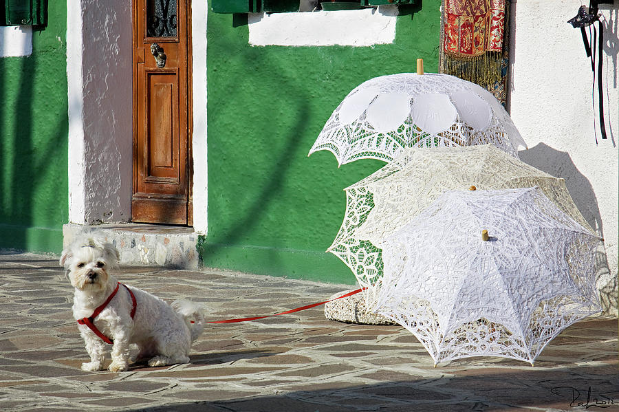 The guardian of the umbrellas. Photograph by Raffaella Lunelli