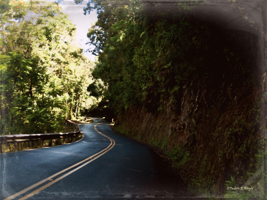 The Hana Highway Photograph by Paulette B Wright