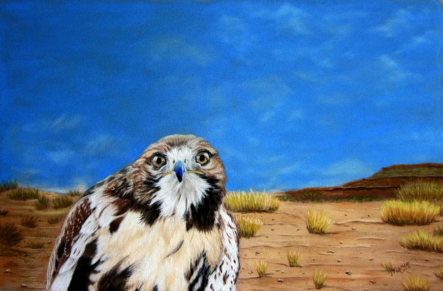 The Hawk Pastel by Maris Sherwood