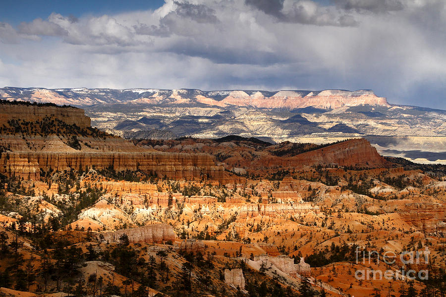 The High Desert Bryce Canyon Photograph by Butch Lombardi