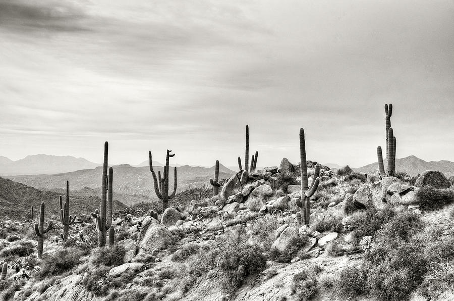 The High Desert Photograph by Saija Lehtonen - Pixels