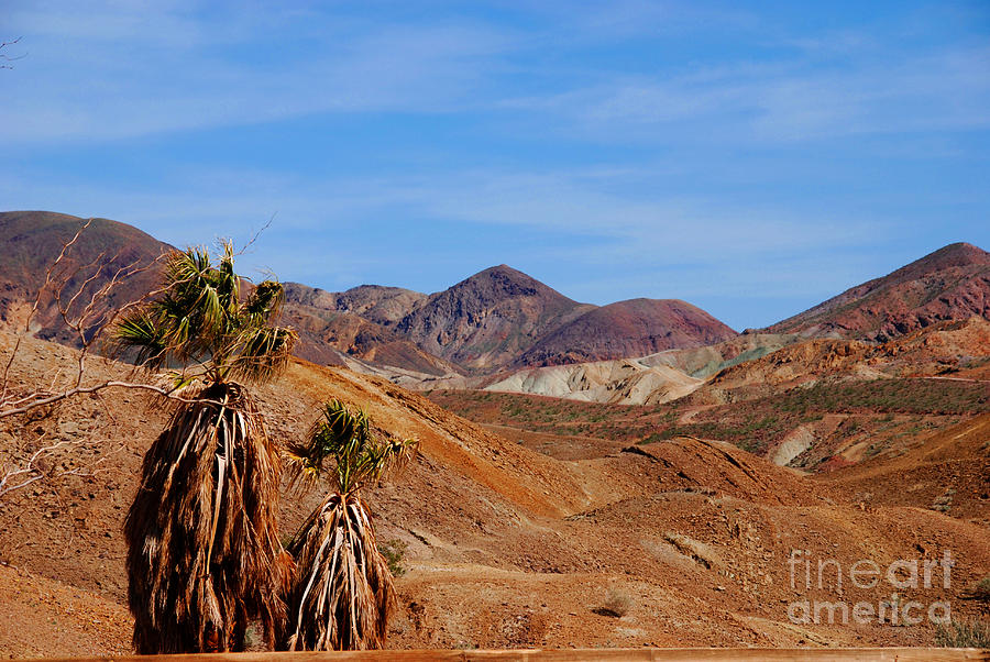 The Hills by Calico California Photograph by Susanne Van Hulst
